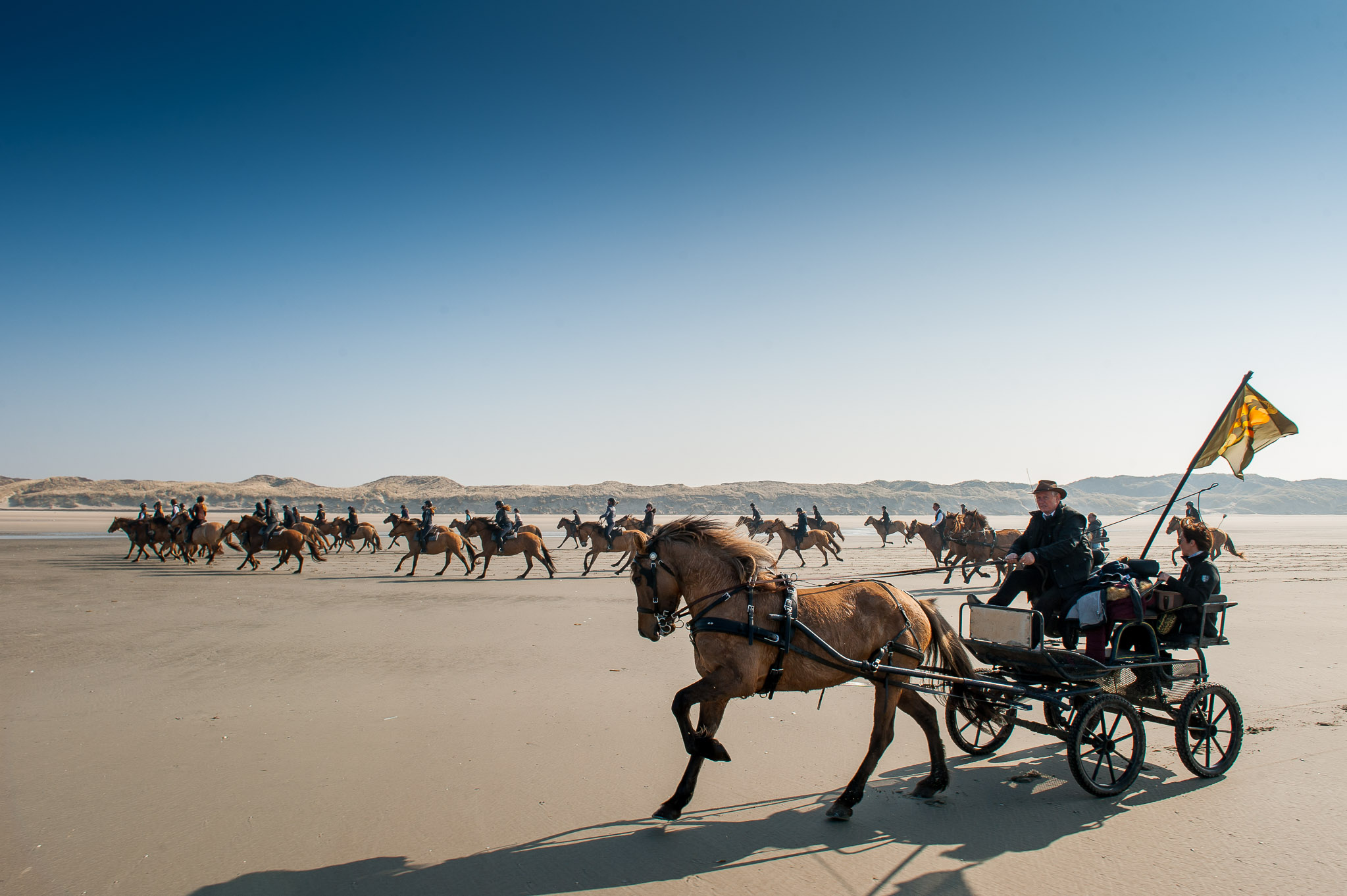 TransHenson vers l'Espace Équestre Henson Le Touquet
