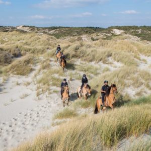 Ride with the Henson horses in the dunes of the Bay of Somme