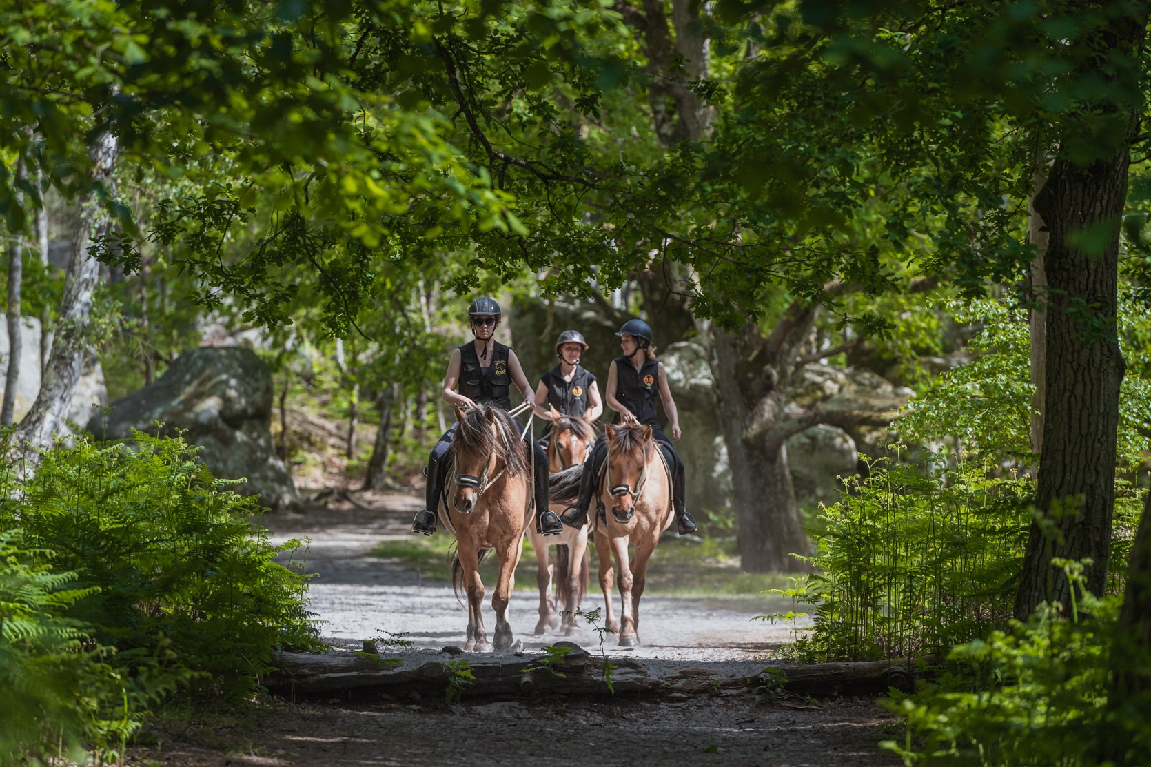 Balade avec les chevaux Henson dans la forêt de Fontainebleau | © Agence Arcantide - Florent Cocquet