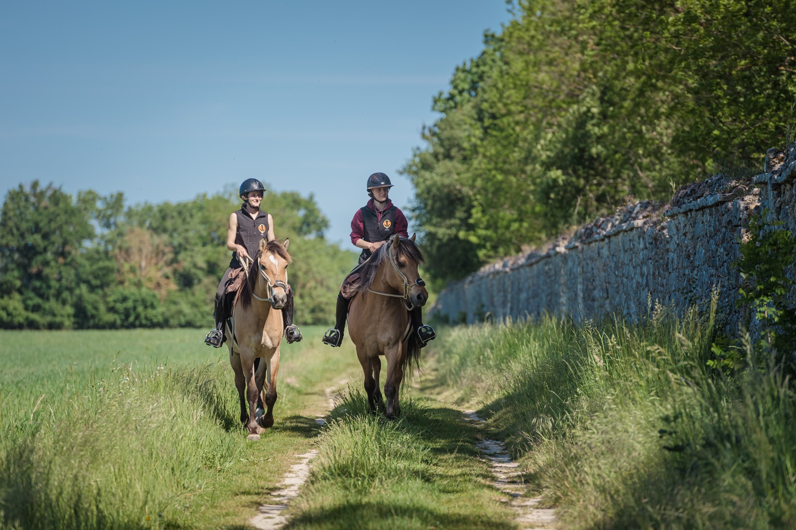 Balade avec les chevaux Henson dans la forêt de Fontainebleau | © Agence Arcantide - Florent Cocquet