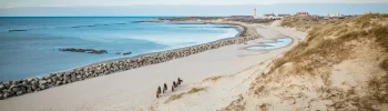 Balade avec les chevaux Henson à la Molière de Berck - © Agence Arcantide